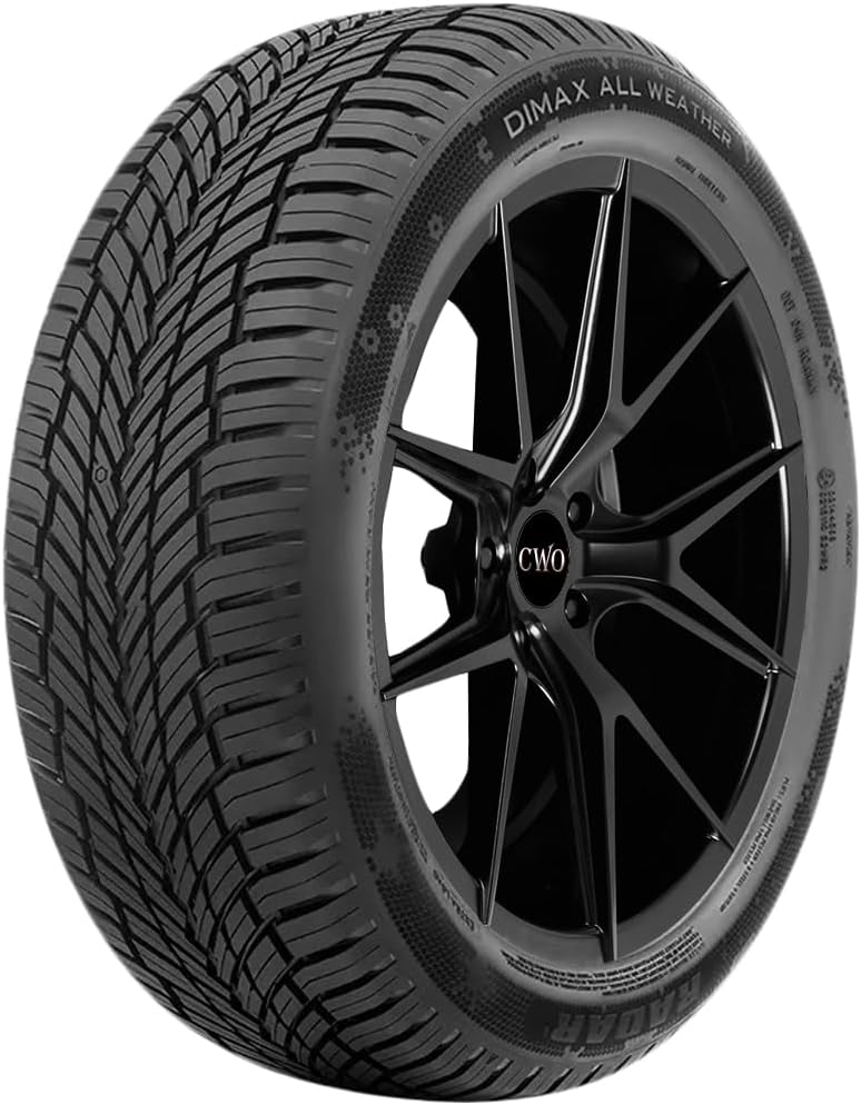 Radar Dimax All Weather 175/65R15XL 88H BSW (1 Tires)