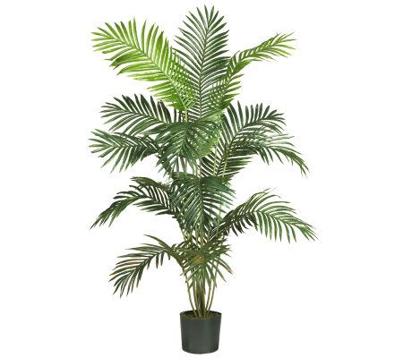 6' Paradise Palm Tree by Nearly Natural