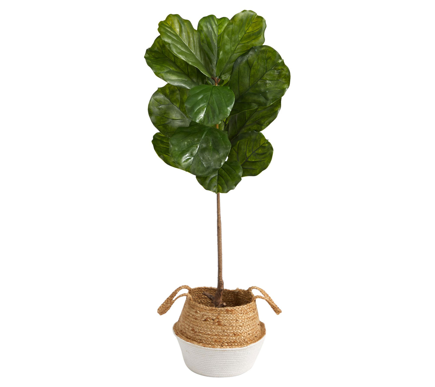 4' Fiddle Leaf in Boho Chic Woven Planter by Nearly Natural