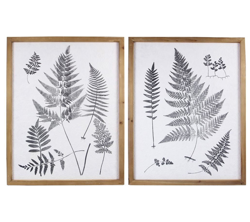 Young's Wood Framed Wall Botanical Art on Paper, Set of 2