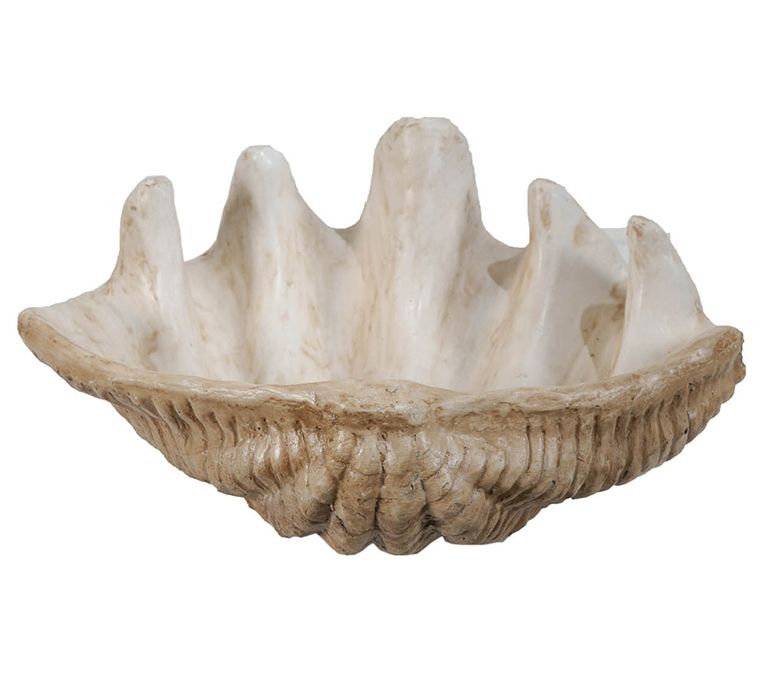 Clam Shell Accent Bowl by Valerie