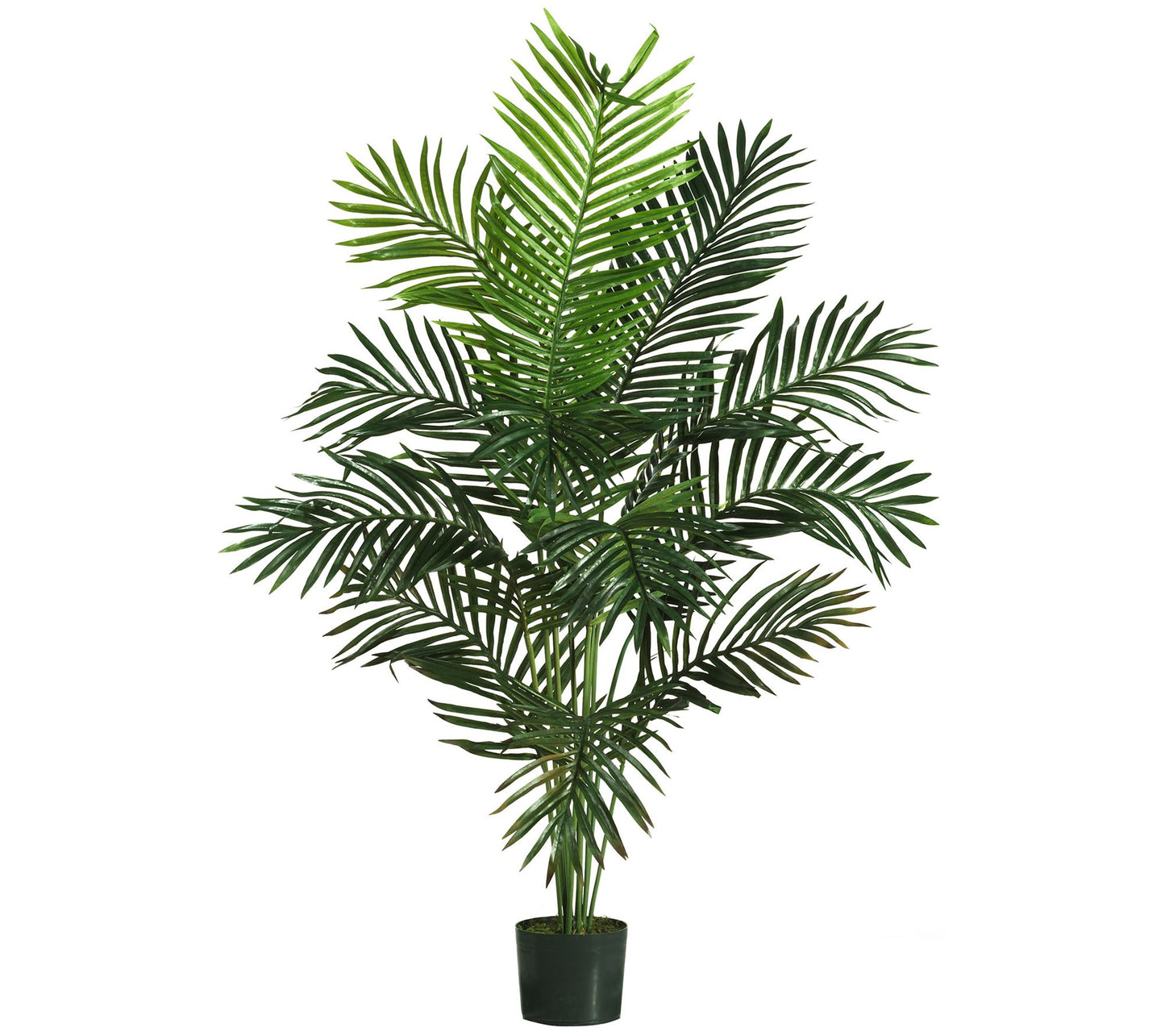 5' Paradise Palm Tree by Nearly Natural