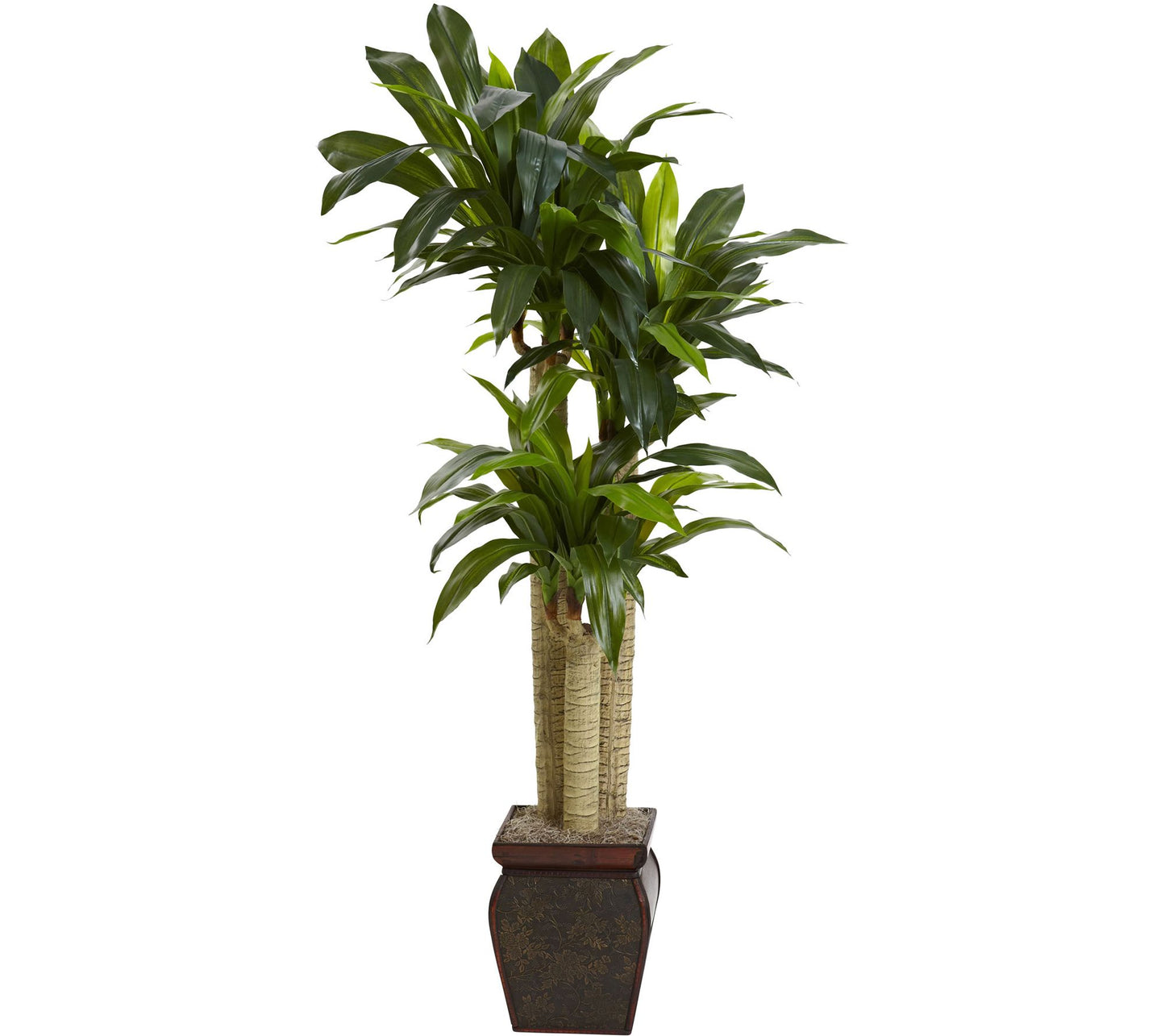 4' Cornstalk Draceana with Vase by Nearly Natural