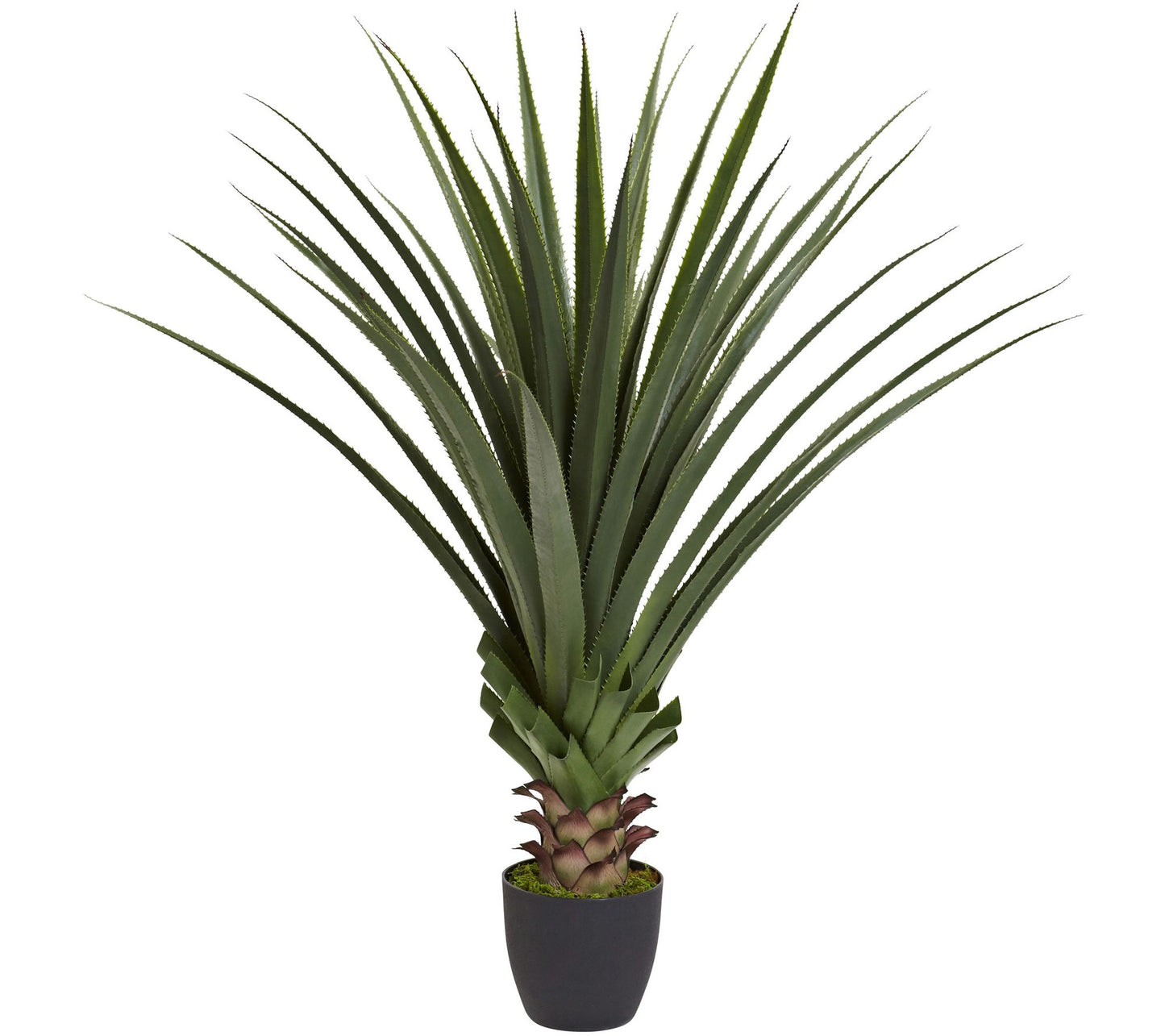 4' Spiked Agave Plant by Nearly Natural