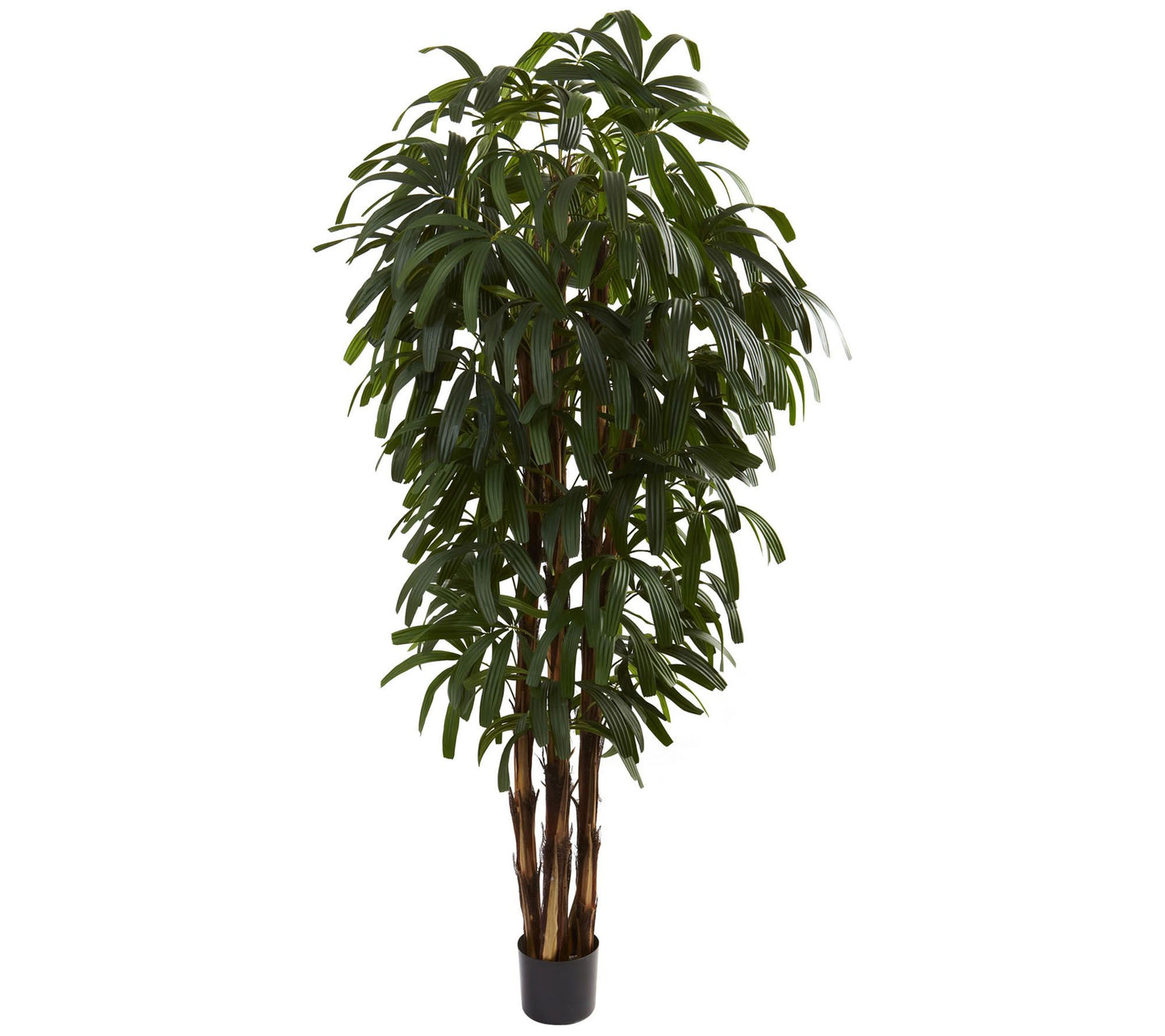 6' Raphis Palm Tree by Nearly Natural