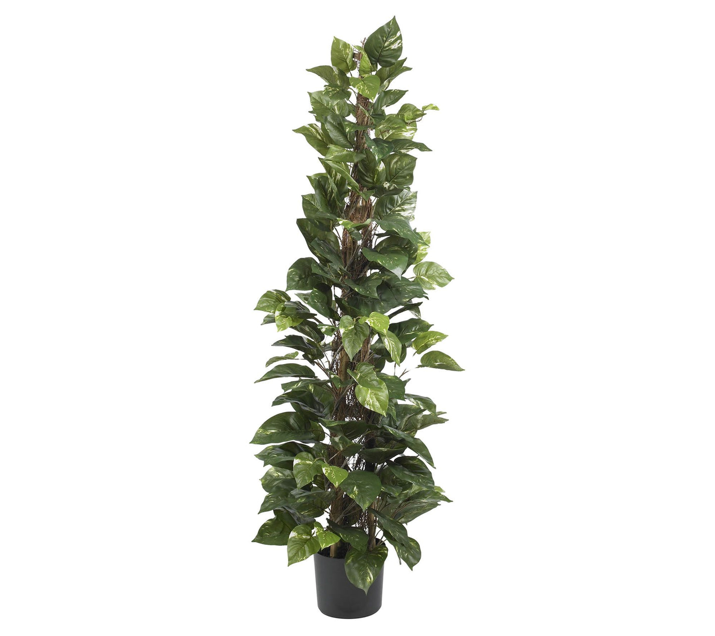 63" Pothos Climbing Silk Plant by Nearly Natural