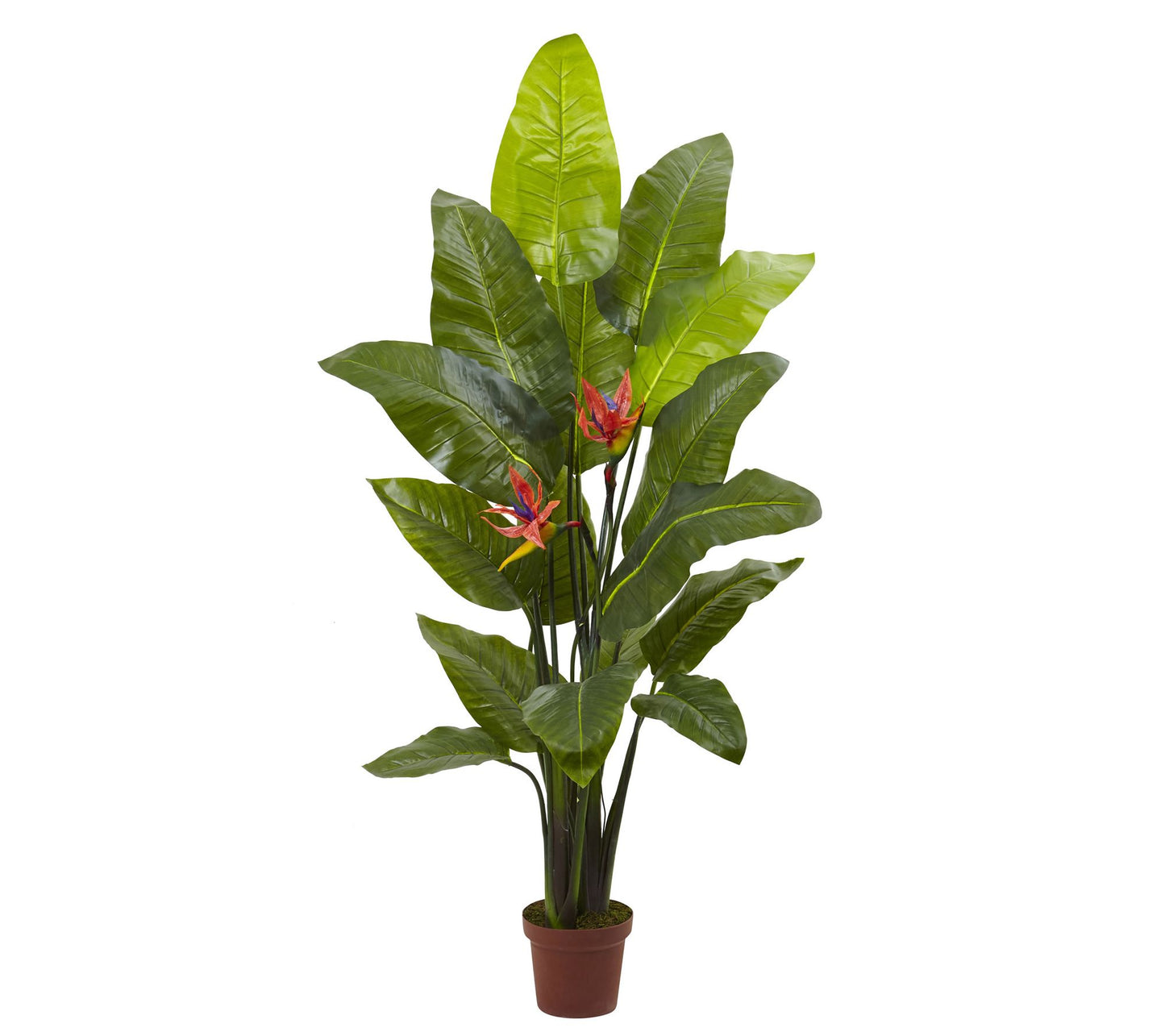 58" Bird of Paradise Plant by Nearly Natural