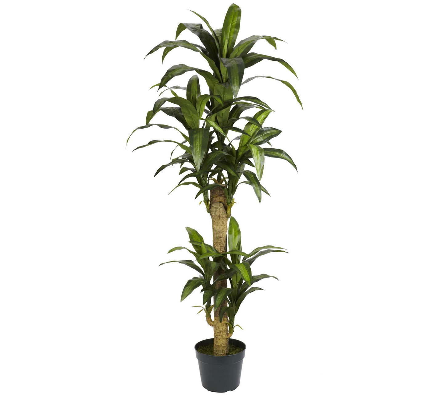 5' Yucca Silk Plant by Nearly Natural