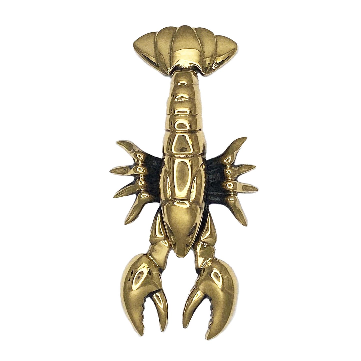 Michael Healy Solid Brass Polished Door Knocker - Easy Surface Installation, Protective Coating, 8-1/2-in Length MH1041