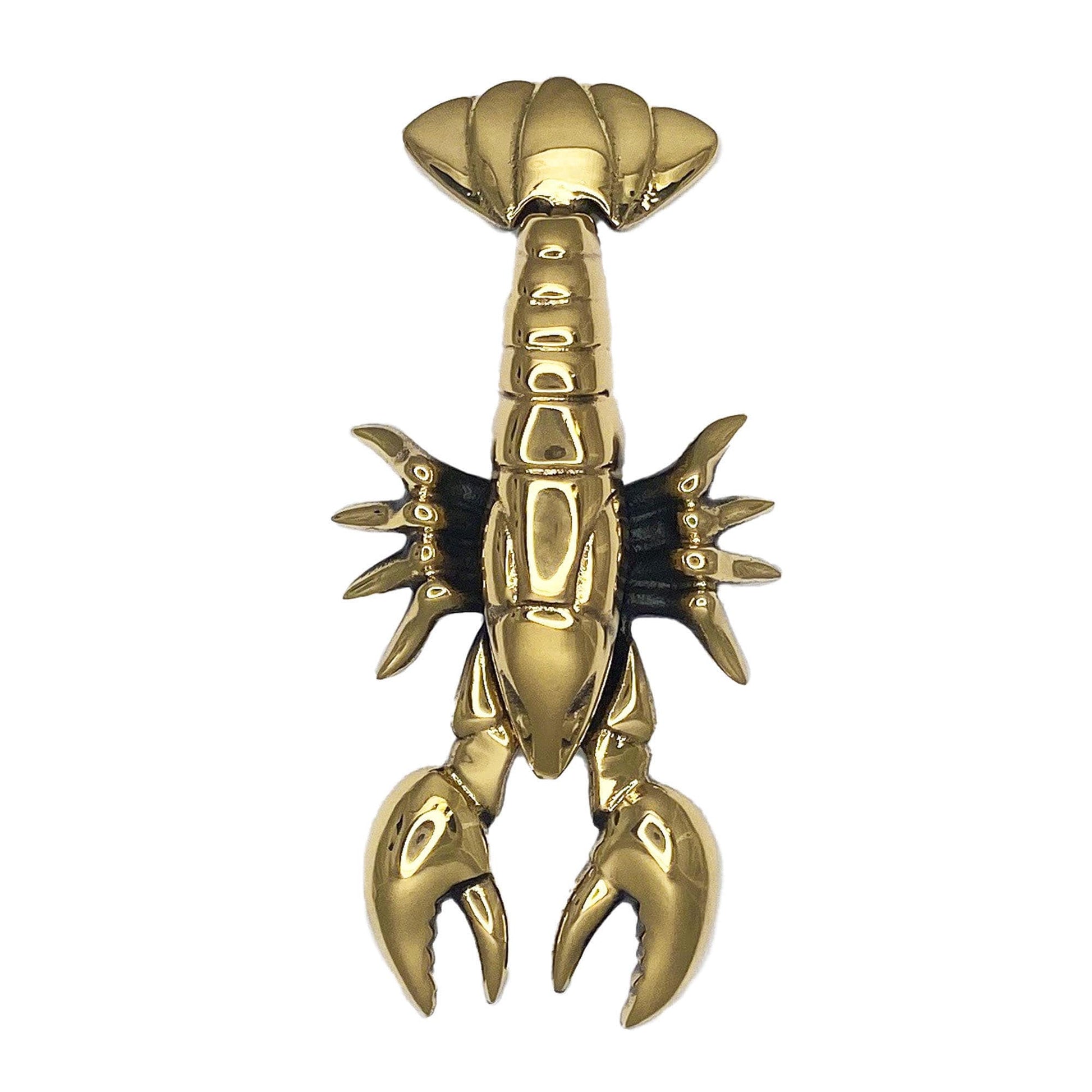 Michael Healy Solid Brass Polished Door Knocker - Easy Surface Installation, Protective Coating, 8-1/2-in Length MH1041