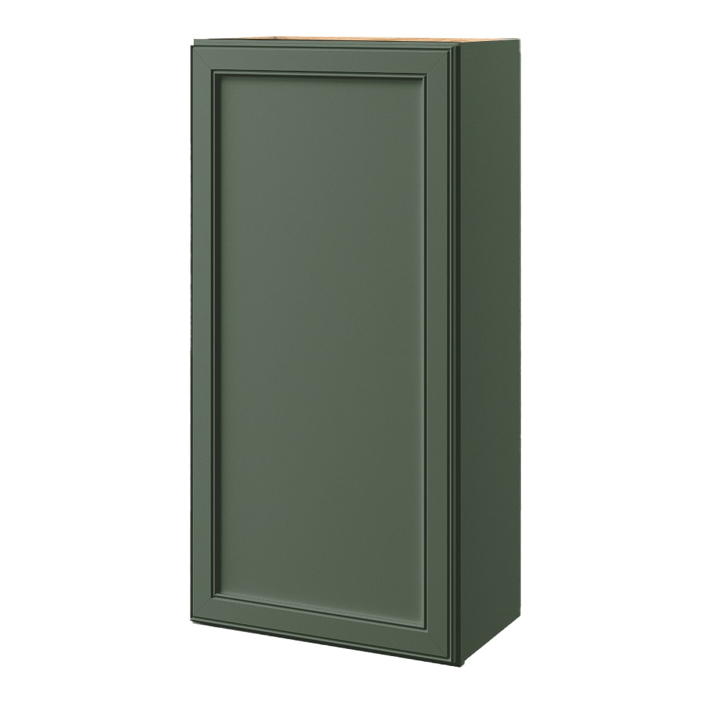 allen + roth Heathrow 21-in W x 42-in H x 12-in D Sage Wall Fully assembled Cabinet Recessed Panel