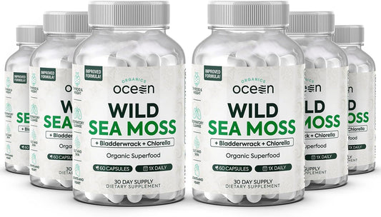 Organics Ocean Wild Sea Moss Capsules - 100% Organic Irish Sea Moss with Organic Chlorella, Bladderwrack and Vitamin D for Energy, Lung Health and Thyroid Support for Women and Men - 6 Bottles