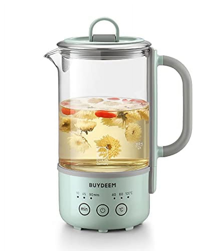 BUYDEEM K313 Travel Electric Kettle, Mini Healthy-Care Beverage Kettle, Tea Maker with Heat Resistant DURAN® Glass & Durable Pro 18/10 Pro Stainless Steel, 0.6L, Cozy Greenish