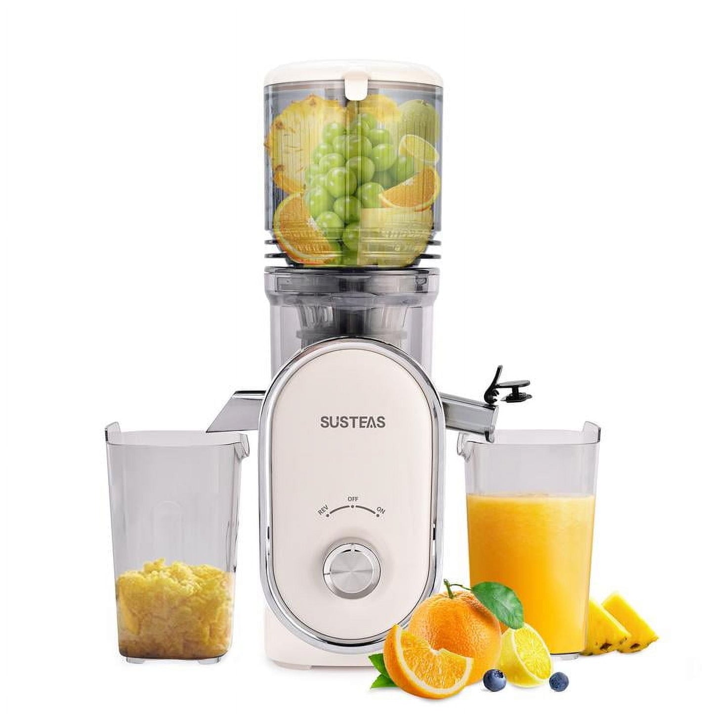 Cold Press Juicer, 4.25 Inch Large Feed Opening, Slow Masticator Chute, For Whole Vegetables and Fruits, High Yield, Easy to Clean Springtok Steel