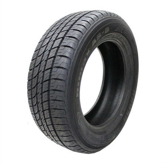 Radar Dimax AS-8 295/35R20 105 W Tire