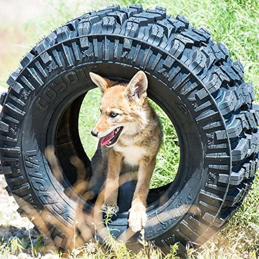 Sedona Coyote 25-10.00-12 Front/Rear 6 Ply ATV Tire - CO251012 (570-4201)