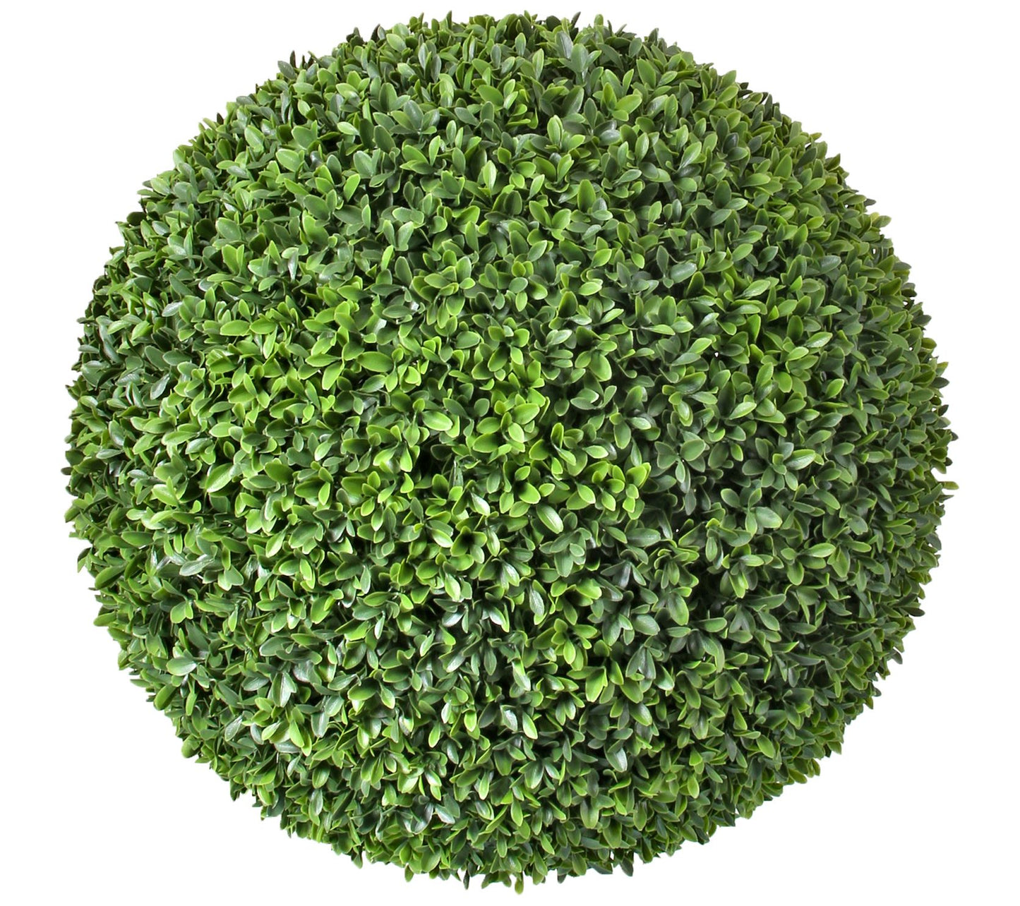 American Boxwood Ball 20"  by Valerie