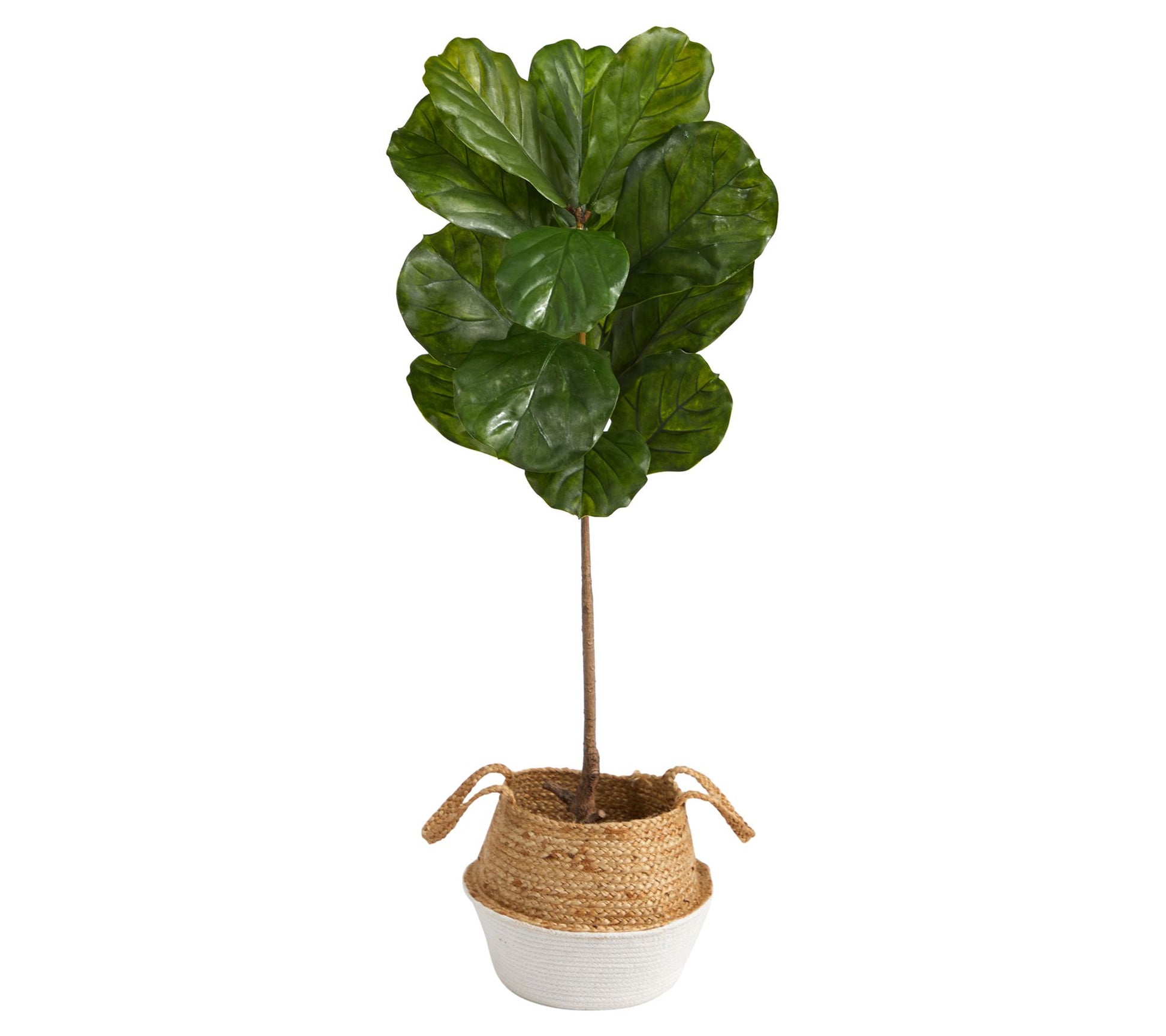 4' Fiddle Leaf in Boho Chic Woven Planter by Nearly Natural