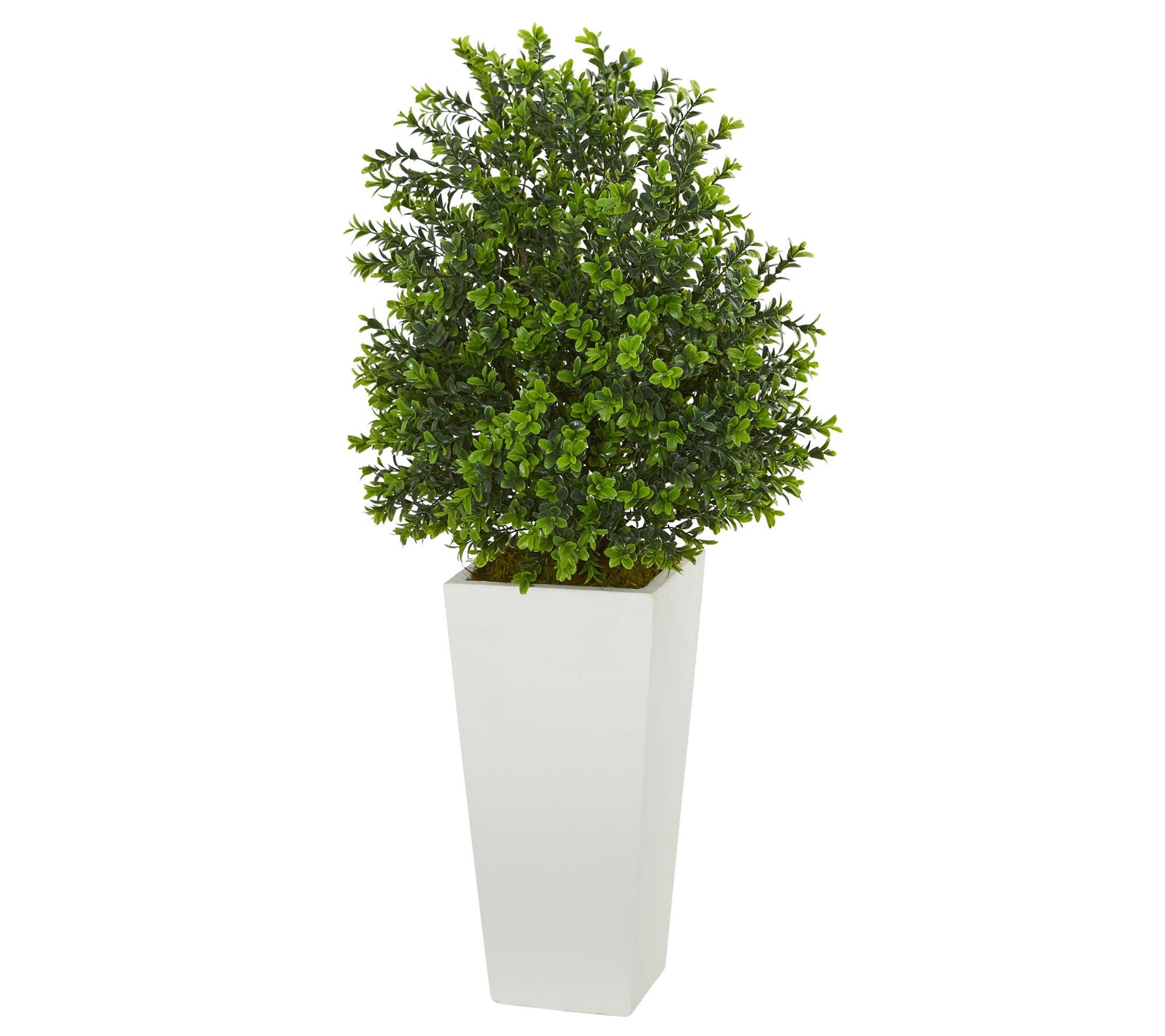 Sweet Grass Artificial Plant in Tower Planter (Indoor/Outdoor)