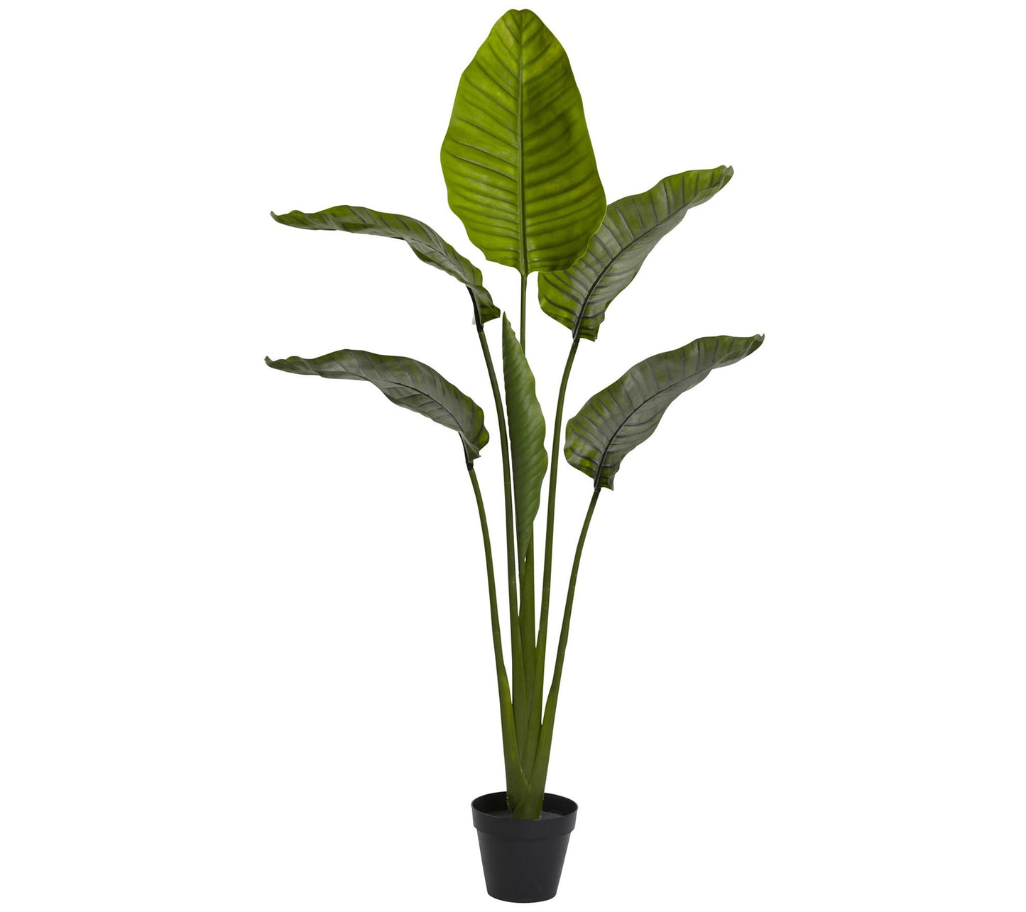 64" Travelers Palm Tree by Nearly Natural