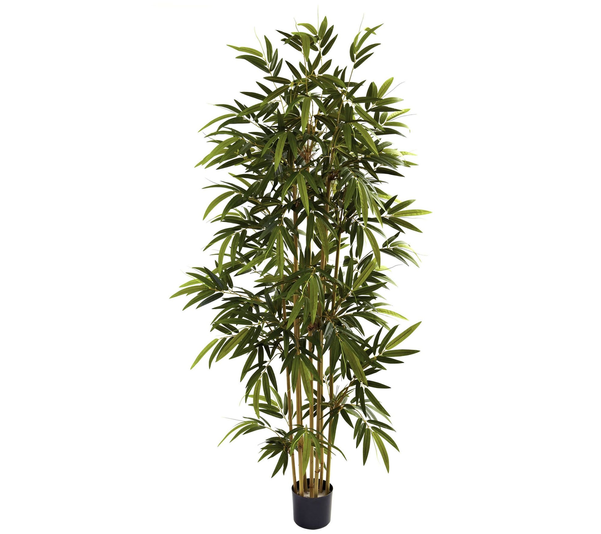 6' Bamboo Tree by Nearly Natural