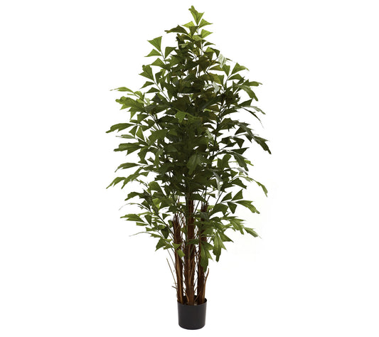 6' Fishtail Palm Tree by Nearly Natural