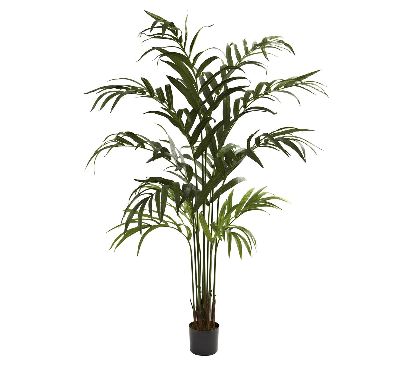 6' Kentia Artificial Tree by Nearly Natural