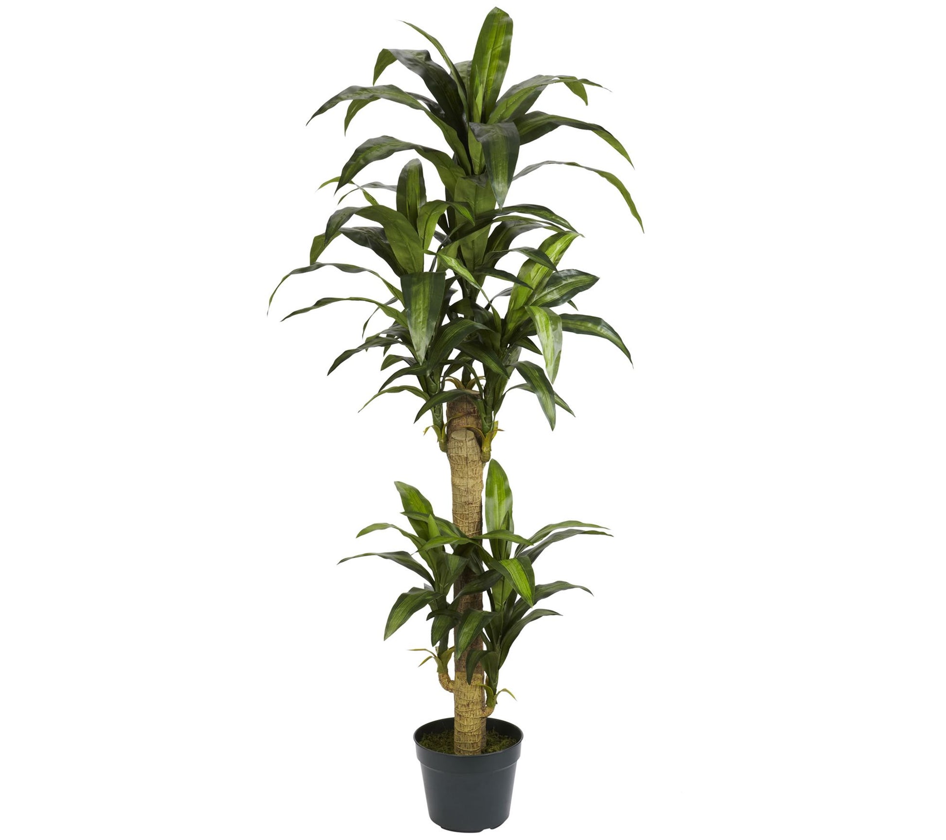 5' Yucca Silk Plant by Nearly Natural
