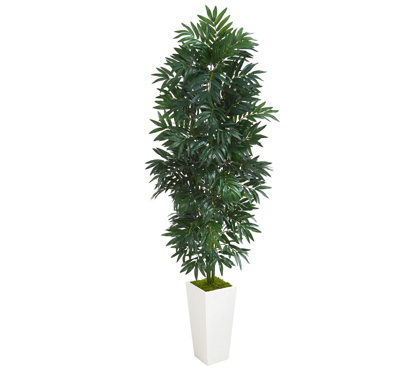 5' Bamboo Palm Plant in Planter by Nearly Natural