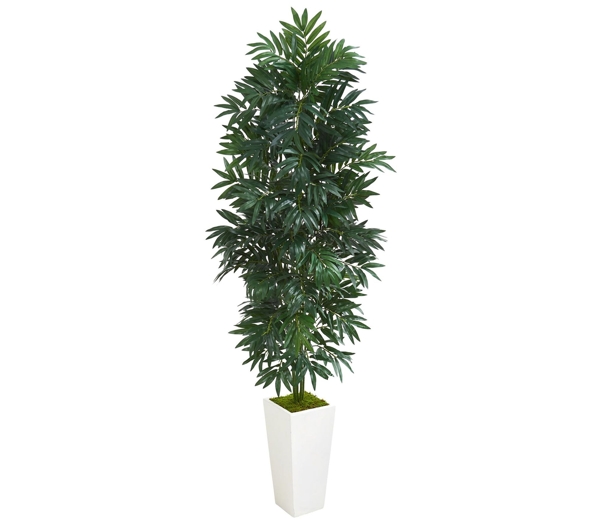 5' Bamboo Palm Plant in Planter by Nearly Natural