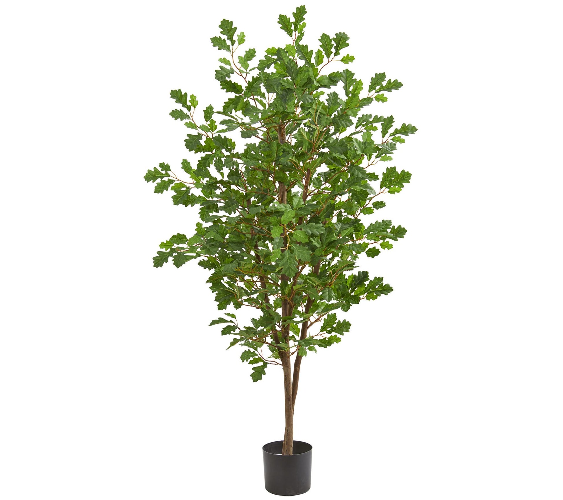 5' Oak Artificial Tree by Nearly Natural