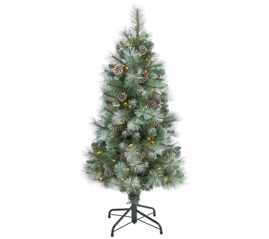 4' Lit Frosted Mountain Pine Christmas Tree byearly Natural