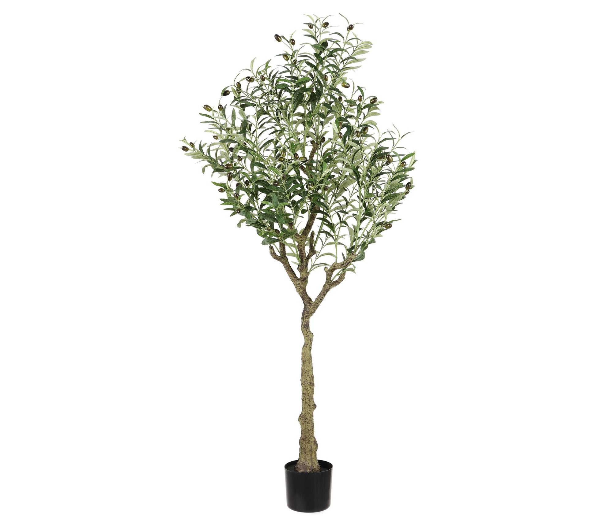 Safavieh Faux Olive 60" Potted Tree