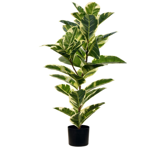 Vickerman 38" Artificial Potted Dieffenbachia