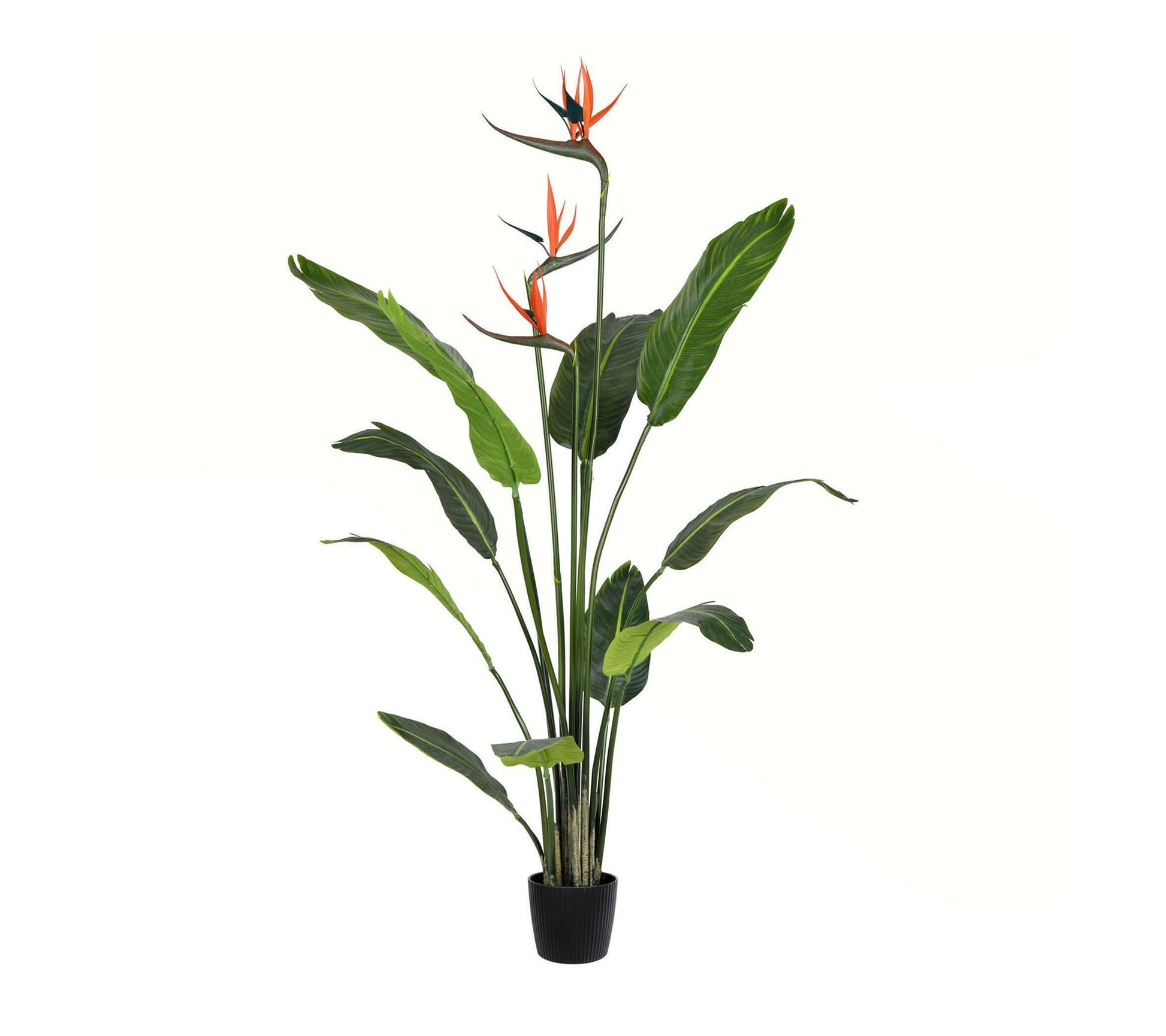 Vickerman 4' Artificial Potted Bird of ParadisePalm Tree