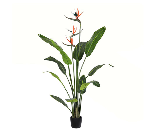 Vickerman 4' Artificial Potted Bird of ParadisePalm Tree