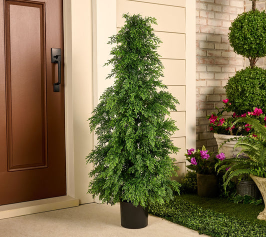 4' Downswept Indoor/Outdoor Faux Cedar Tree by Kim Gravel