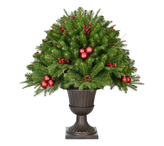 Fraser Hill Farm 3ft Joyful Porch Tree in Pedestal Urn