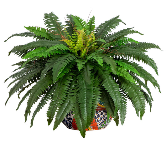 Nearly Natural 32" Double Boston Fern in Talavera Planter