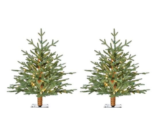 Fraser Hill Farm 2 Ft. Green Alpine Porch Accent Tree Set of 2