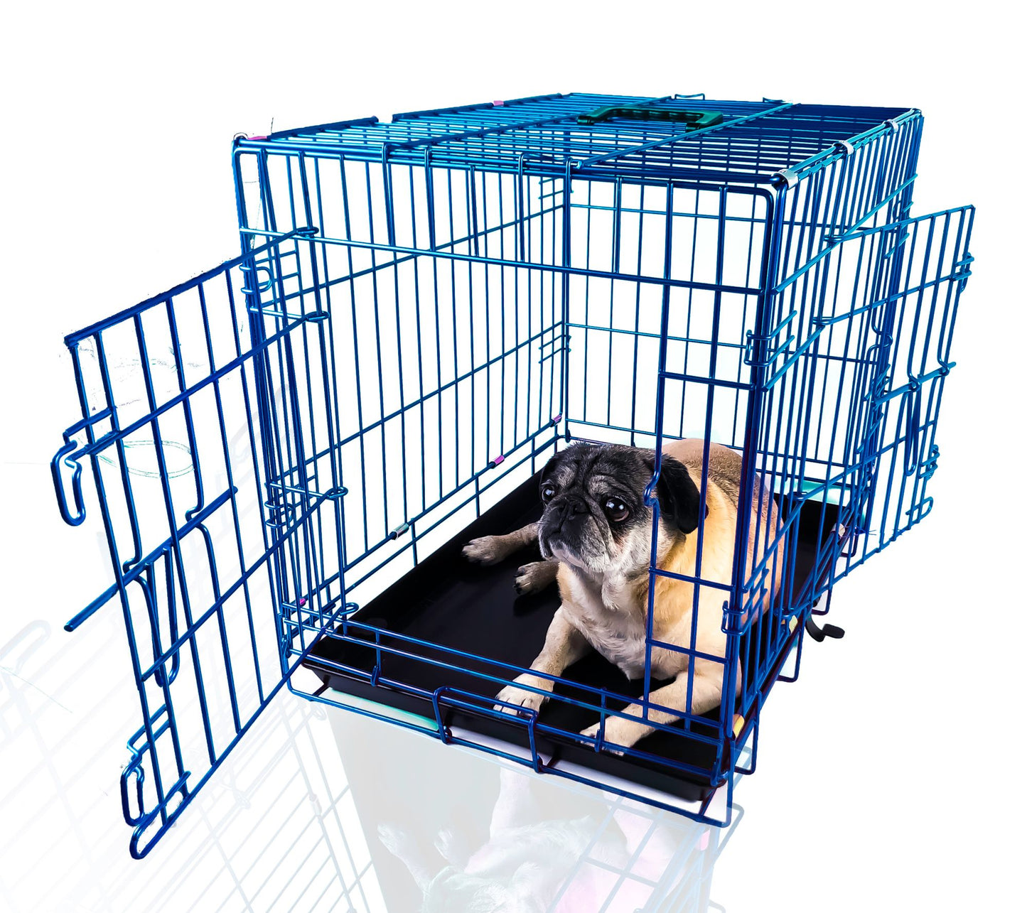 Backyard Expressions 24" Double Door Dog Kennel